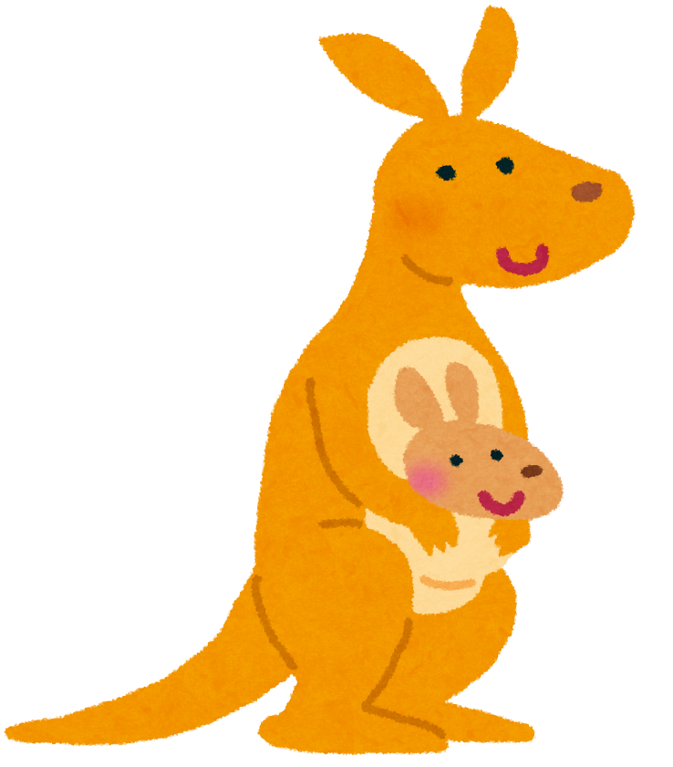 カンガルー